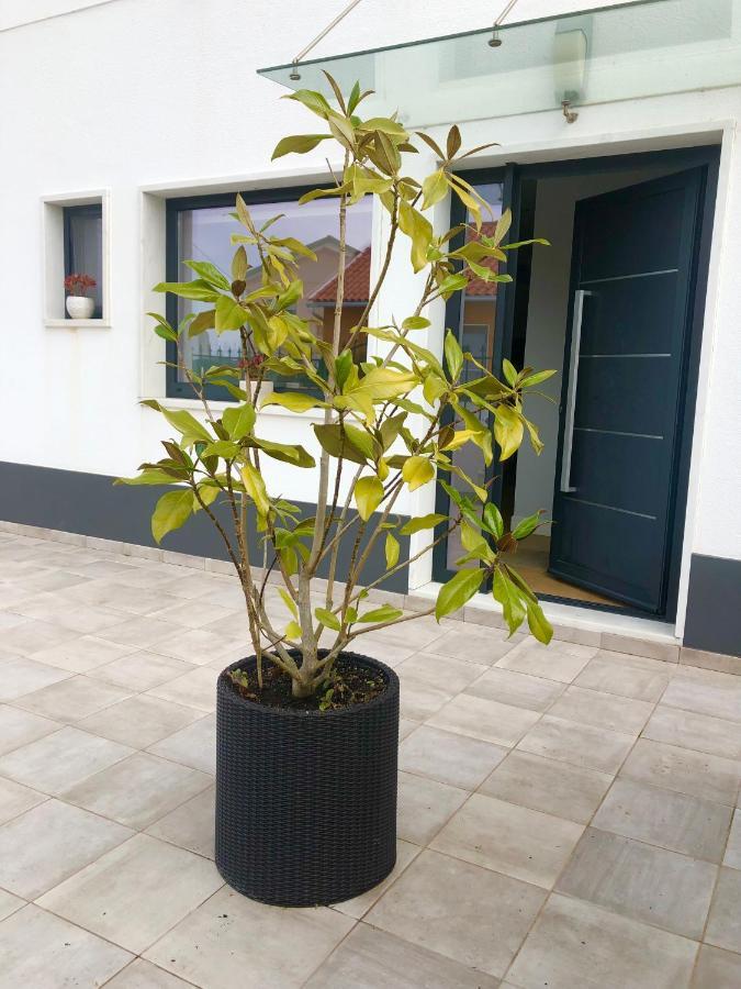 Casa Patio Country House Enxara do Bispo Zewnętrze zdjęcie